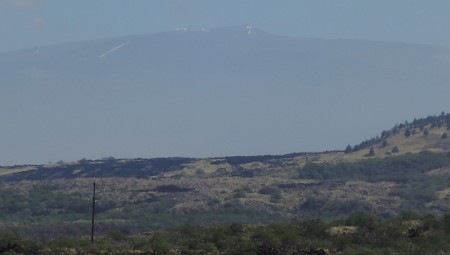 2011