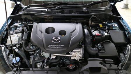 %e3%83%87%e3%83%9f%e3%82%aa%e3%82%a8%e3%83%b3%e3%82%b8%e3%83%b3