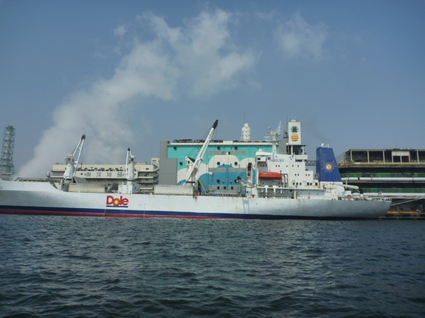 4063 4063